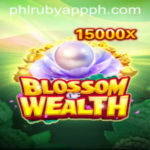Exploring the BlossomofWealth Game Experience